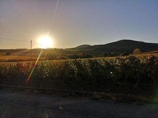 Ferienpark Bergheim (Elsass) Umgebung 23