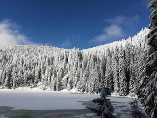 Ferienpark Bergheim (Elsass) Umgebung 29