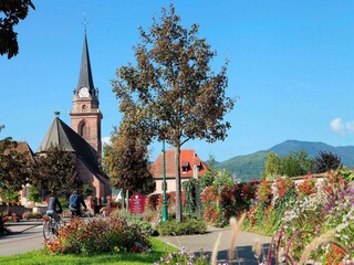 Ferienpark Bergheim (Elsass) Umgebung 20