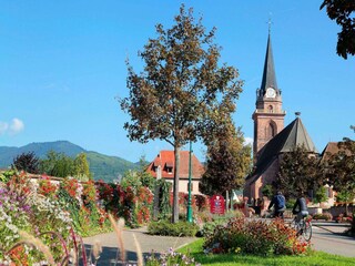 Parque de vacaciones Bergheim (Elsass) Entorno 26