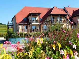 Holiday park Bergheim (Elsass) Outdoor Recording 8