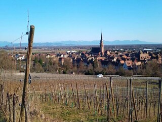 Vakantiepark Bergheim (Elsass) Omgeving 14
