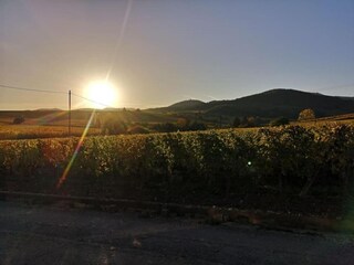 Parc de vacances Bergheim (Elsass) Environnement 26