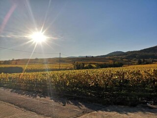 Parc de vacances Bergheim (Elsass) Environnement 26