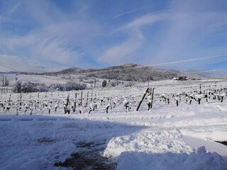 Vakantiepark Bergheim (Elsass) Omgeving 30