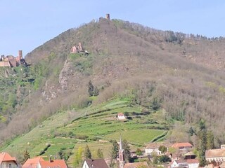 Holiday park Bergheim (Elsass) Environment 21