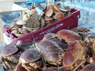 Casa de vacaciones Île-Grande Entorno 15