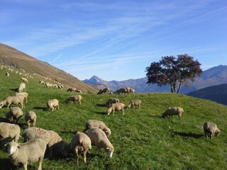 Casa per le vacanze Valmeinier Ambiente 31