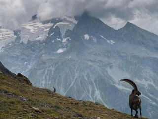 Vakantiepark Méribel Omgeving 27