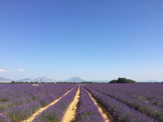 Vakantiepark Esparron-de-Verdon Omgeving 25