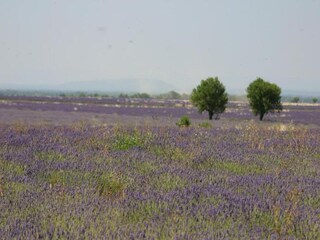 Parco vacanze Esparron-de-Verdon Ambiente 21