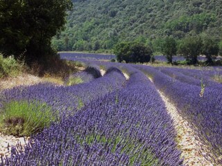 Parco vacanze Esparron-de-Verdon Ambiente 28