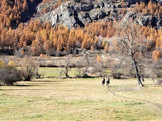 Ferienpark La Salle-les-Alpes Umgebung 32