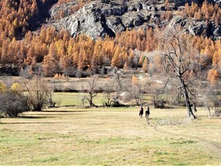 Parque de vacaciones La Salle-les-Alpes Entorno 28