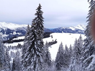 Vakantiepark La Clusaz Omgeving 22