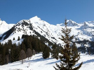 Parc de vacances La Clusaz Environnement 29