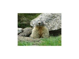Parc de vacances Dévoluy  22