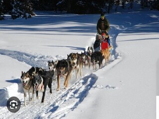 Parc de vacances Dévoluy Environnement 35