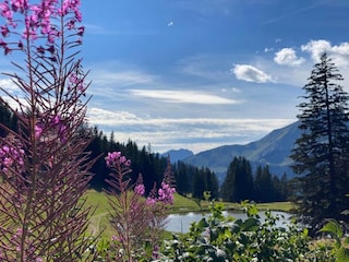 Ferienpark Châtel Umgebung 27