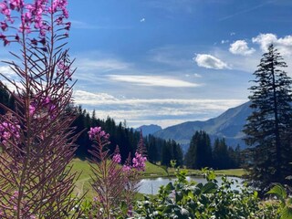 Holiday park Châtel Environment 29