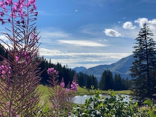 Parque de vacaciones Châtel Entorno 36