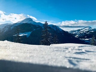 Parco vacanze Châtel Ambiente 33