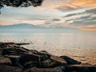 Parco vacanze Châtel Ambiente 36