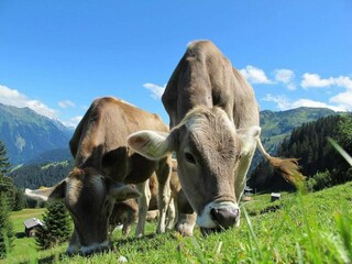 Ferienpark Guillestre Umgebung 12