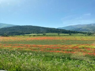 Parc de vacances Guillestre Environnement 20