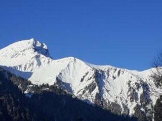 Holiday park Châtel Environment 31