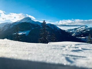 Parco vacanze Châtel Ambiente 32