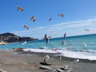 Vakantiepark Nizza Omgeving 22