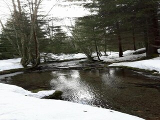 Parc de vacances Argentière Environnement 34