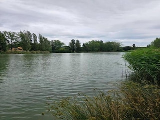 Ferienpark Arles Umgebung 24