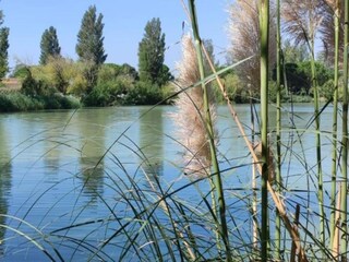 Ferienpark Arles Umgebung 18