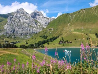 Parco vacanze Evian-les-Bains Ambiente 23