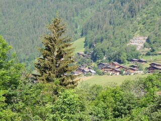 Parco vacanze Evian-les-Bains Ambiente 21