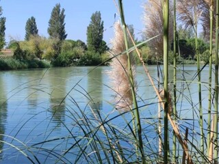 Parque de vacaciones Arles Entorno 34