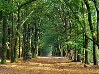 Parc de vacances Aubagne Environnement 26