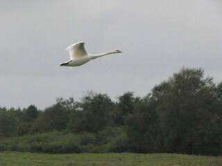 Ferienpark Noyelles-sur-Mer Umgebung 23