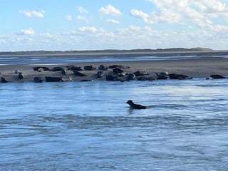 Vakantiepark Noyelles-sur-Mer Omgeving 28