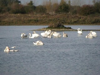 Parc de vacances Noyelles-sur-Mer Environnement 40