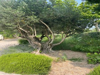 Parc de vacances Paradou Environnement 25