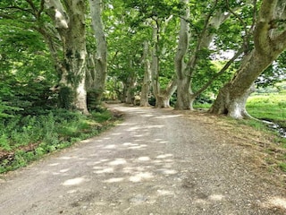 Holiday park Paradou Environment 15