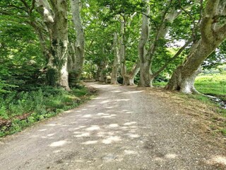 Parc de vacances Paradou Environnement 16