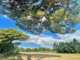 Parc de vacances Paradou Environnement 30
