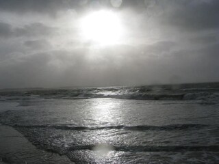 Parc de vacances Noyelles-sur-Mer Environnement 35