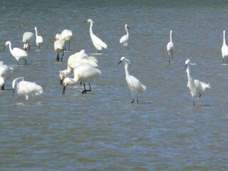 Parc de vacances Noyelles-sur-Mer Environnement 26