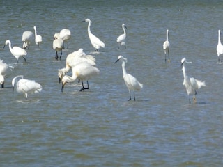 Vakantiepark Noyelles-sur-Mer Omgeving 19