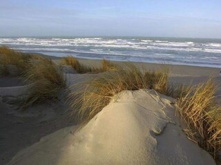 Parc de vacances Noyelles-sur-Mer Environnement 20